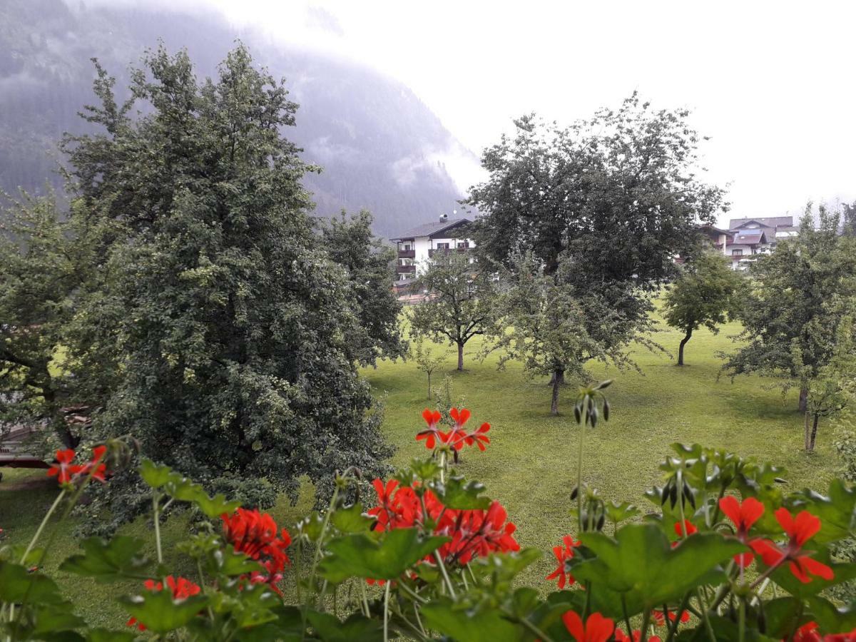 Nieslerhof Mayrhofen