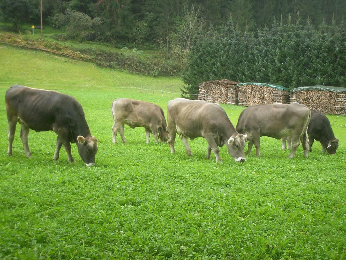 Nieslerhof Farm stay Mayrhofen