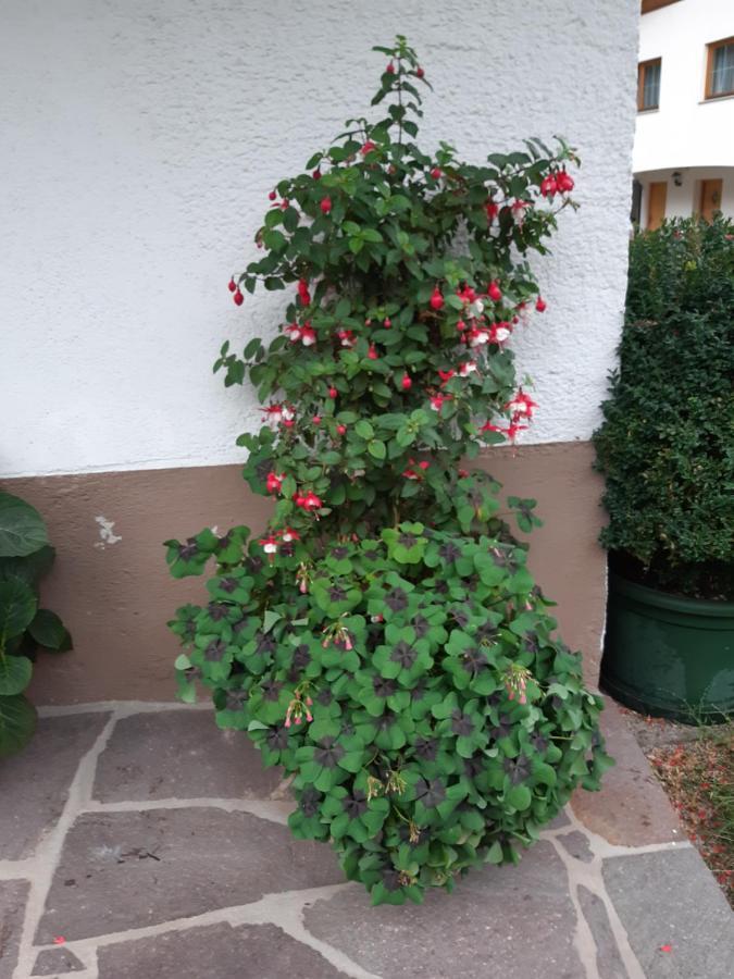 Nieslerhof *